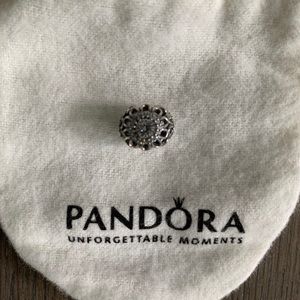 NWOT- Pandora Charm
